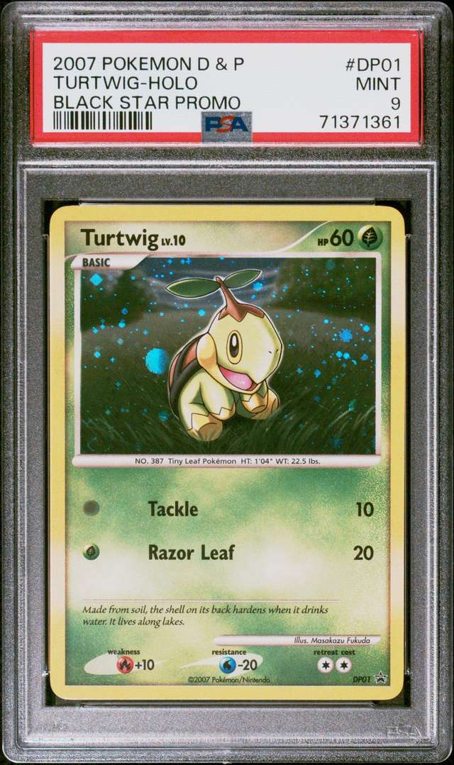 Turtwig