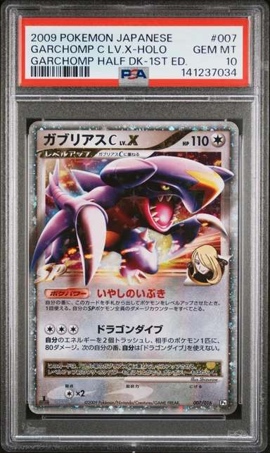 GARCHOMP C LV.X