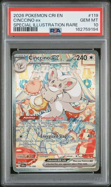 CINCCINO ex