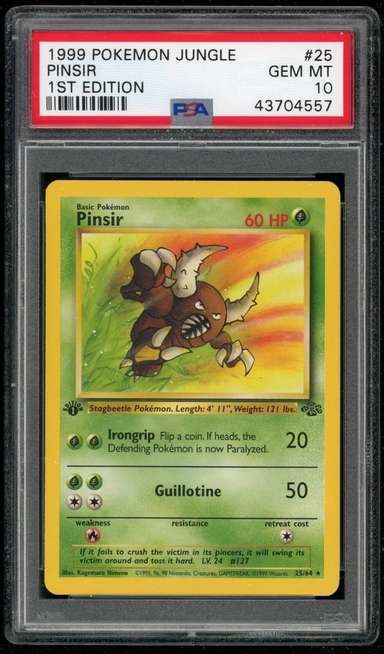 Pinsir