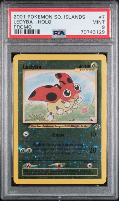 Ledyba