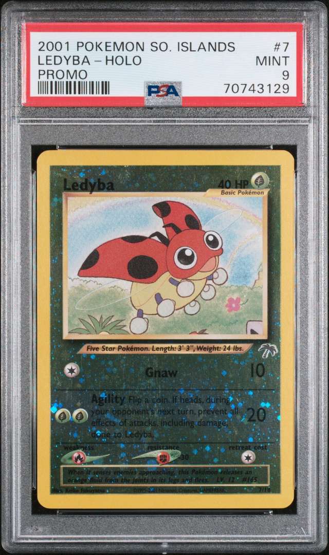 Ledyba