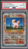 Ponyta C
