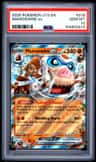 Mamoswine Ex