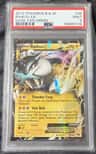 Raikou Ex