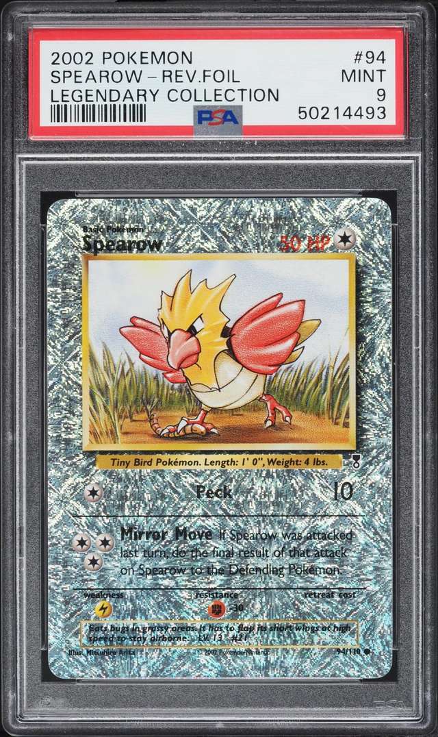 Spearow C
