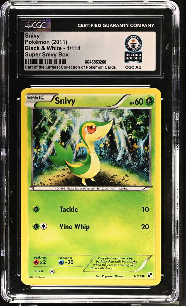 Snivy