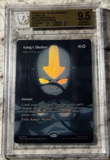 Aang's Shelter