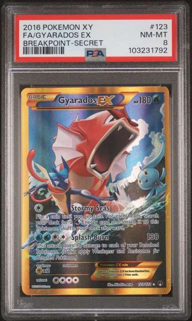 FA/GYARADOS EX