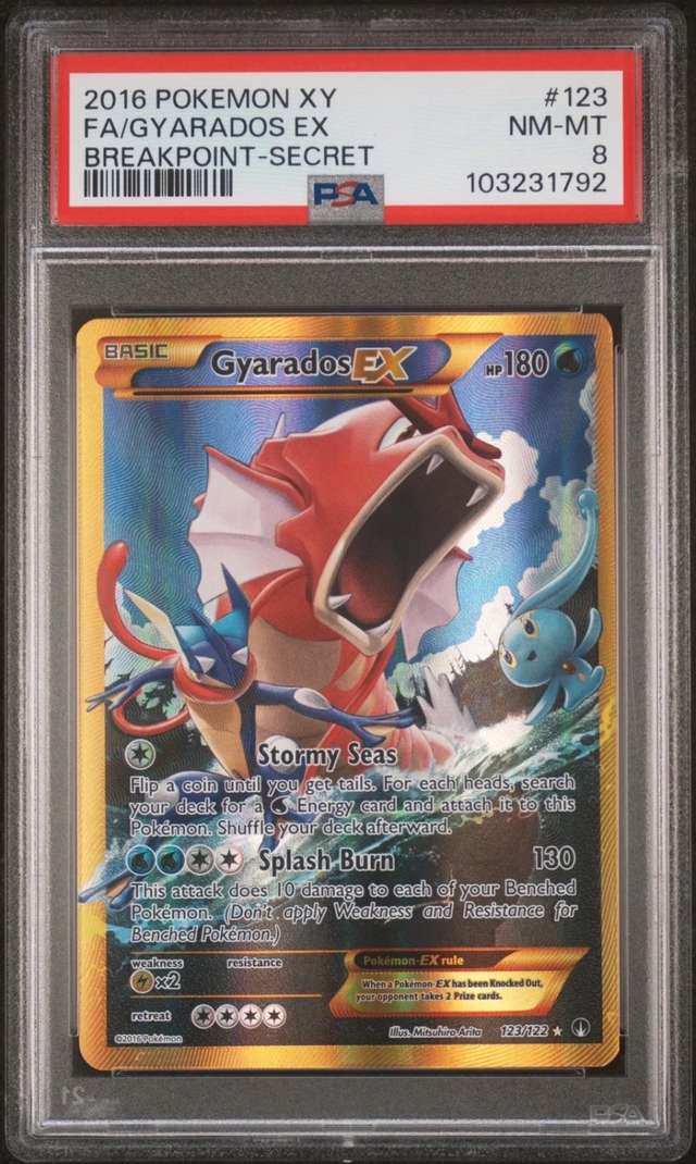 FA/GYARADOS EX