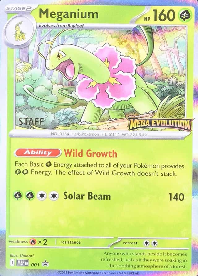 Holo · Prerelease · Evolution Mega Staff