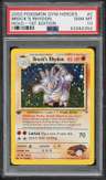 Brock'S Rhydon
