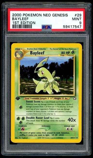 Bayleef