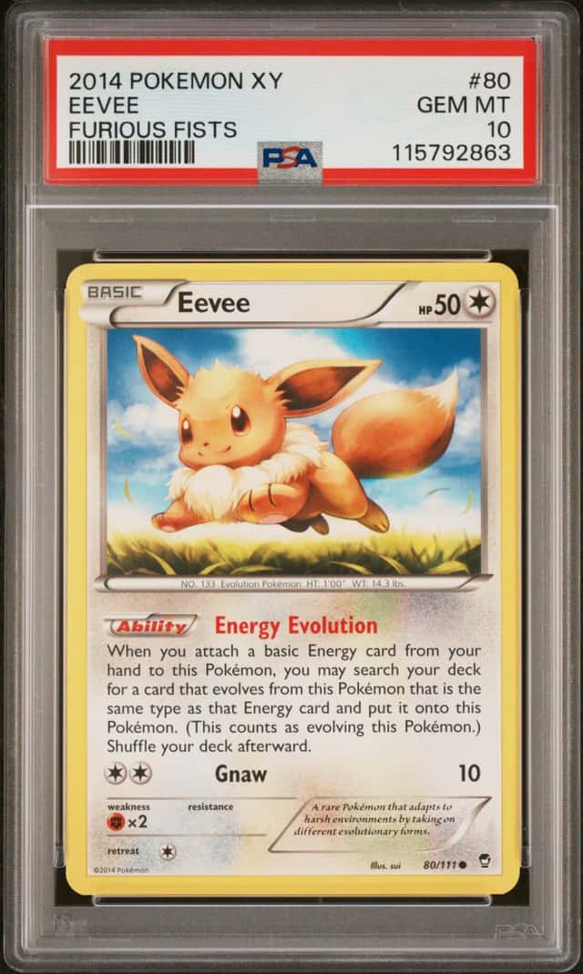 Eevee