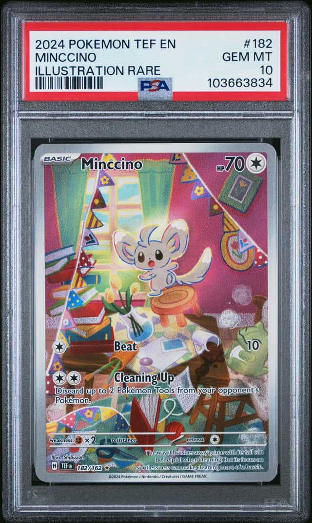 Minccino