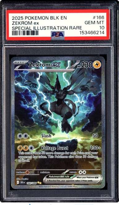 ZEKROM ex