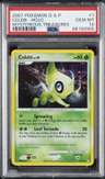 Celebi