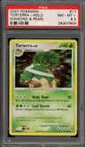 Torterra