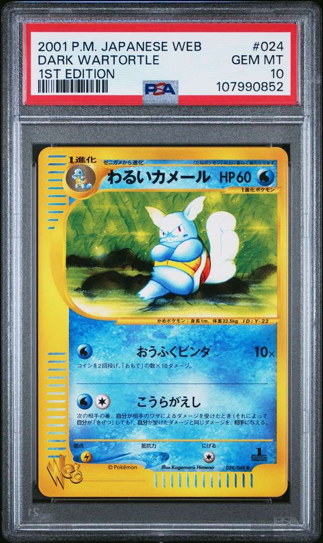 Dark Wartortle