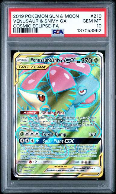 Venusaur & Snivy GX