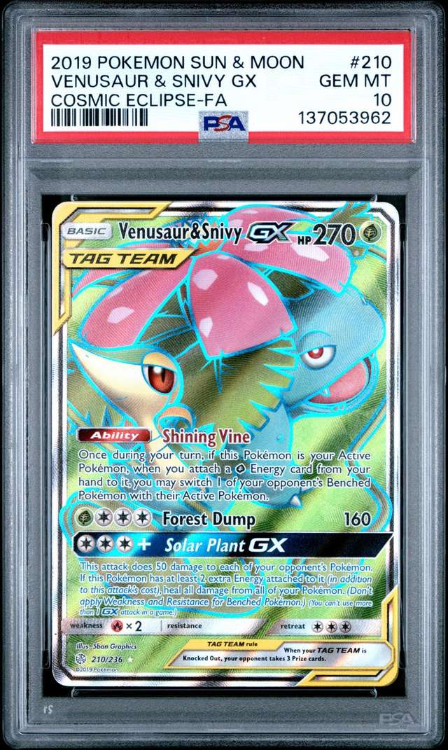 Venusaur & Snivy GX