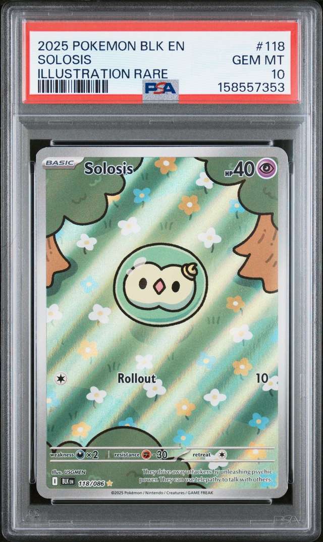 Solosis