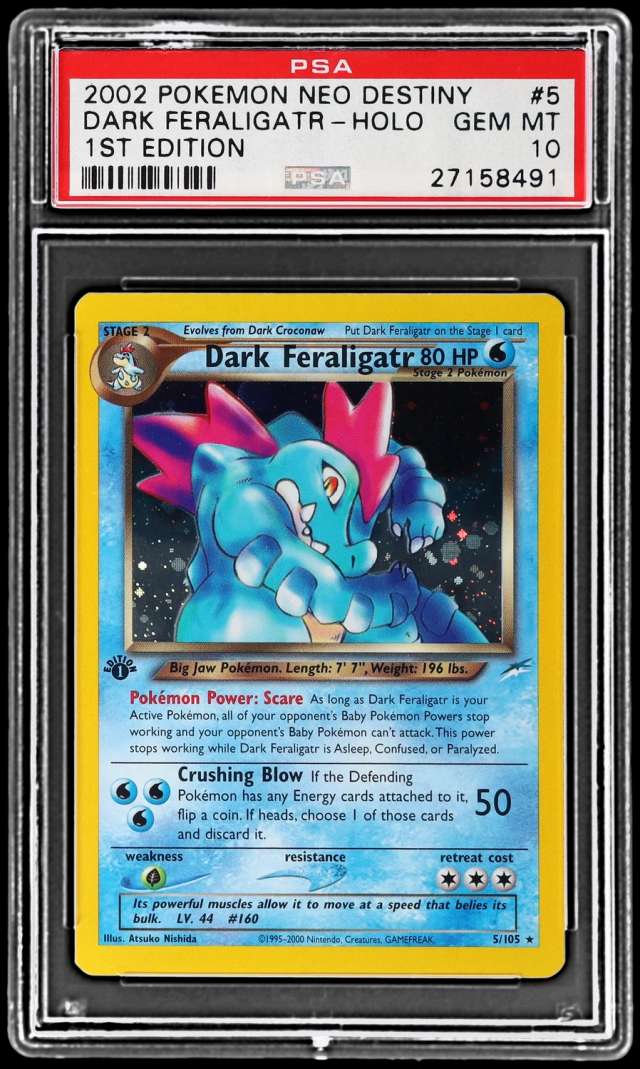 Dark Feraligatr