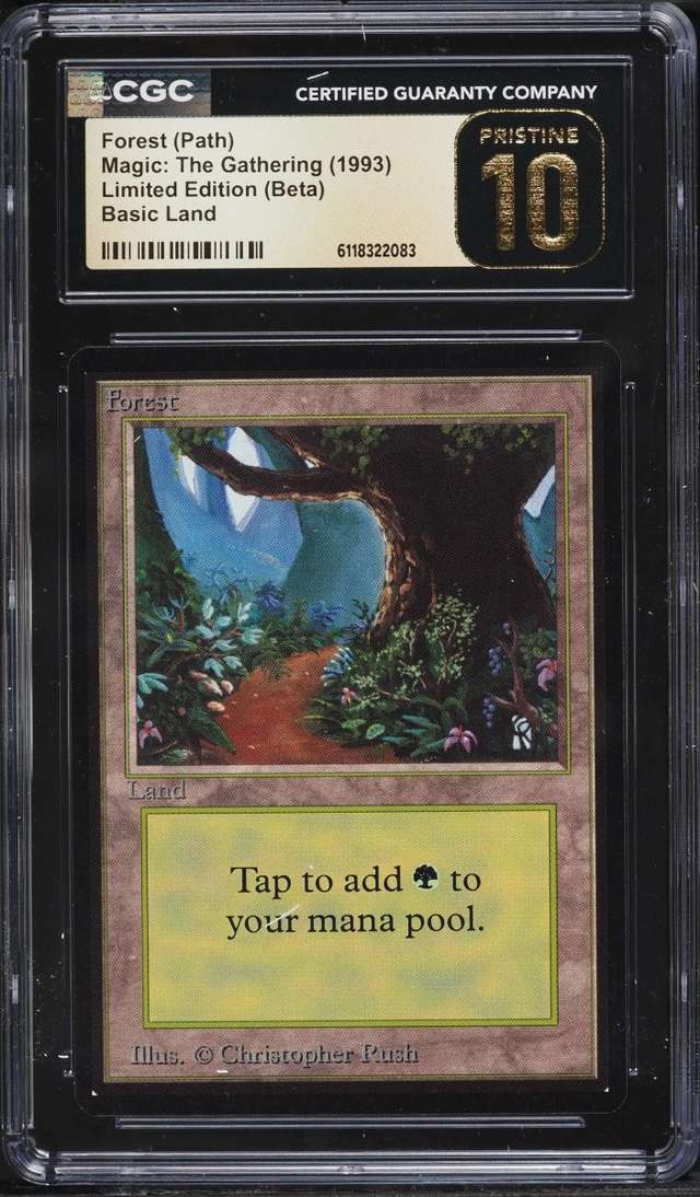 Forest (Path)