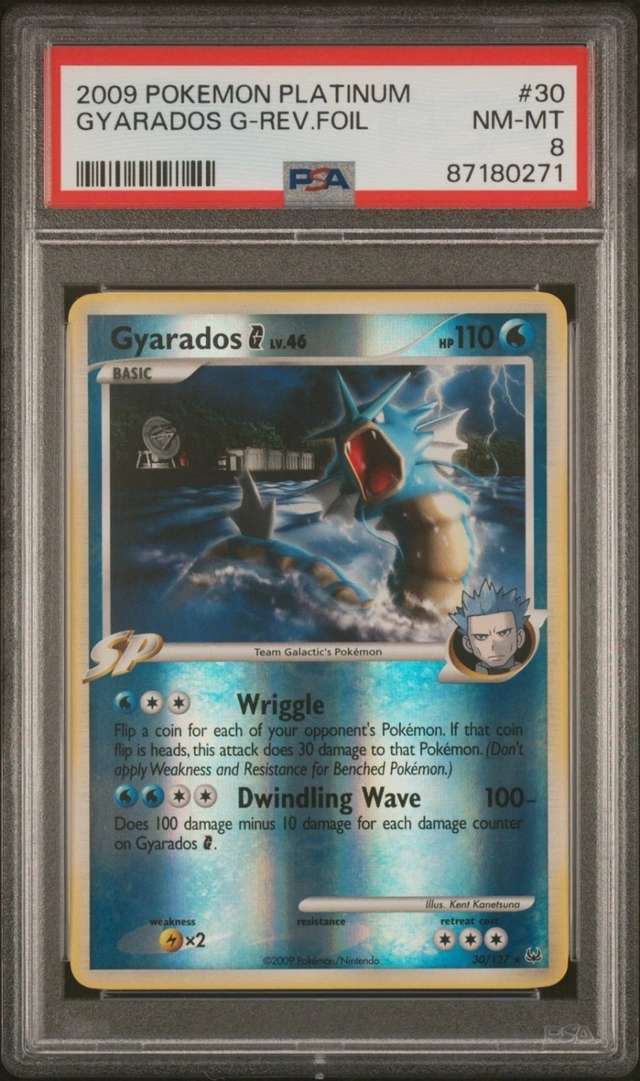 Gyarados G
