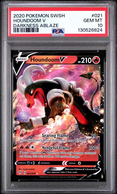 Houndoom V