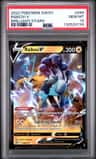 Raikou V
