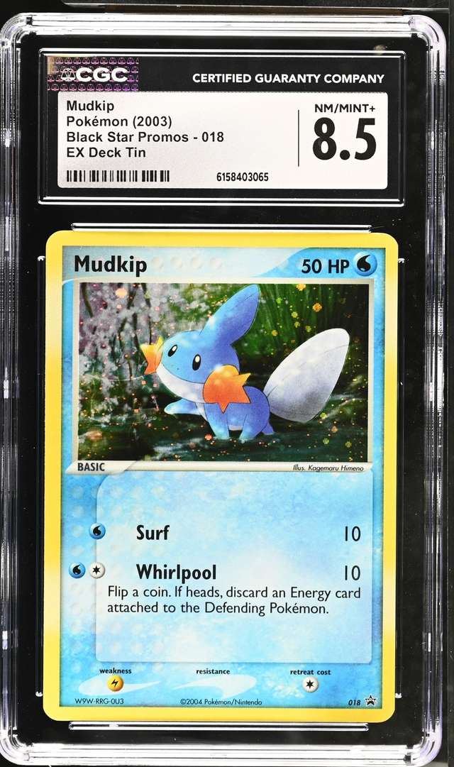 Mudkip