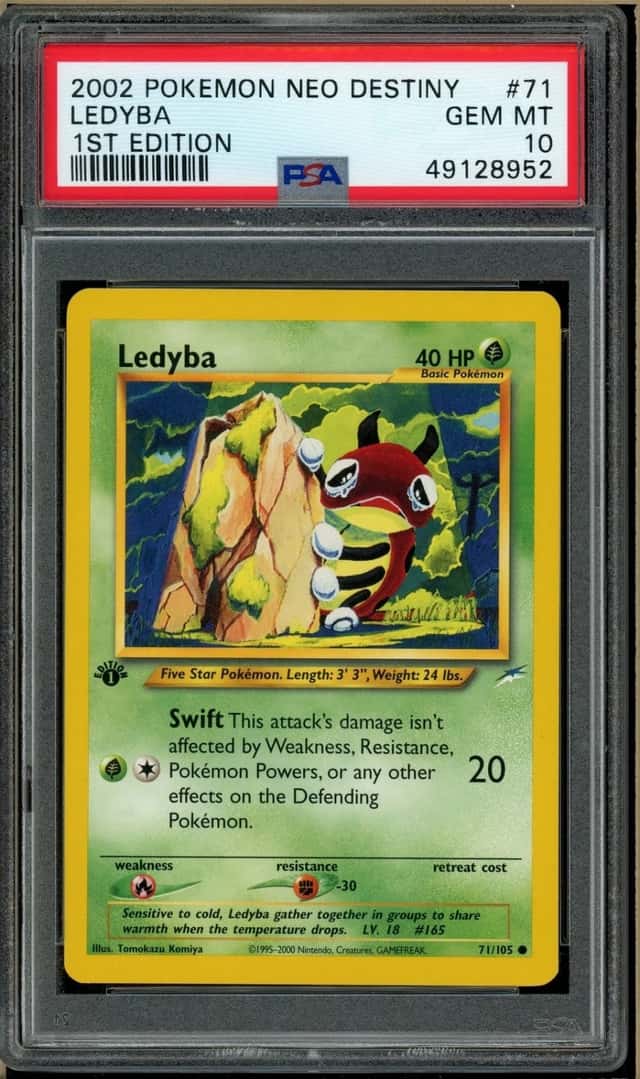 Ledyba