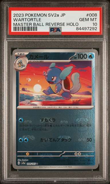 Wartortle
