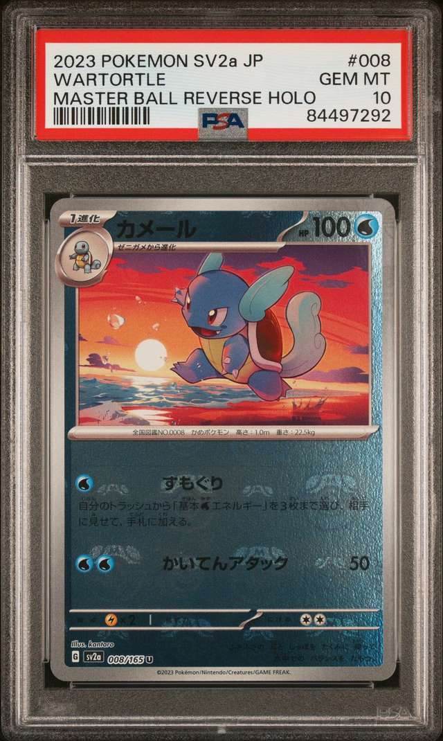 Wartortle