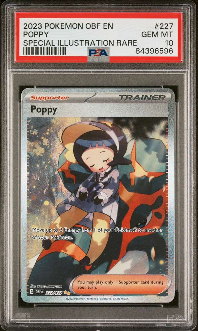 Poppy