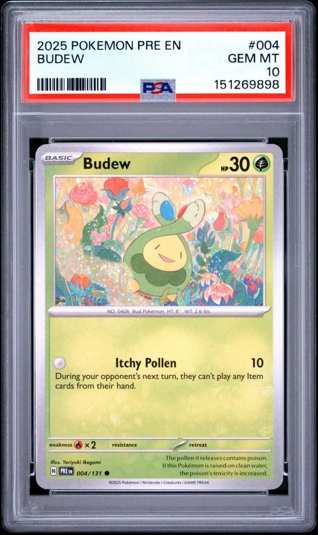 Budew