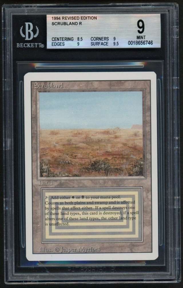 Scrubland