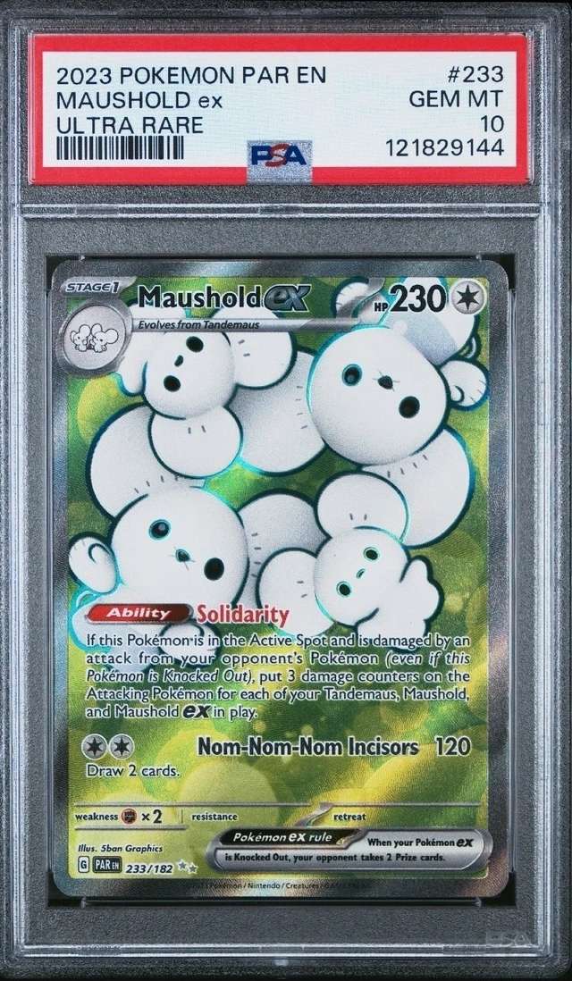 MAUSHOLD ex