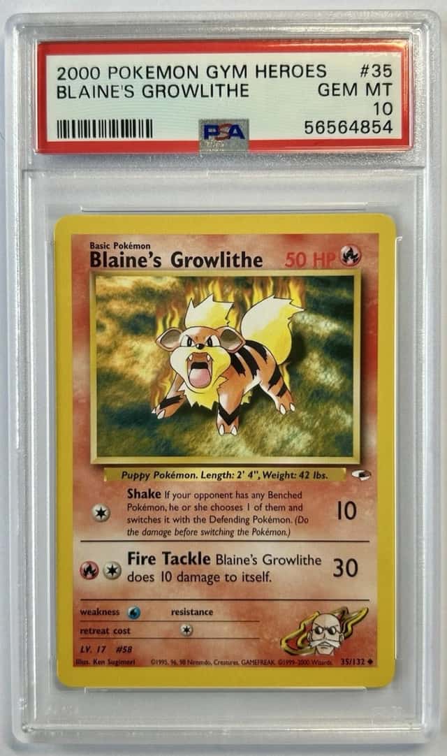 Blaine's Growlithe