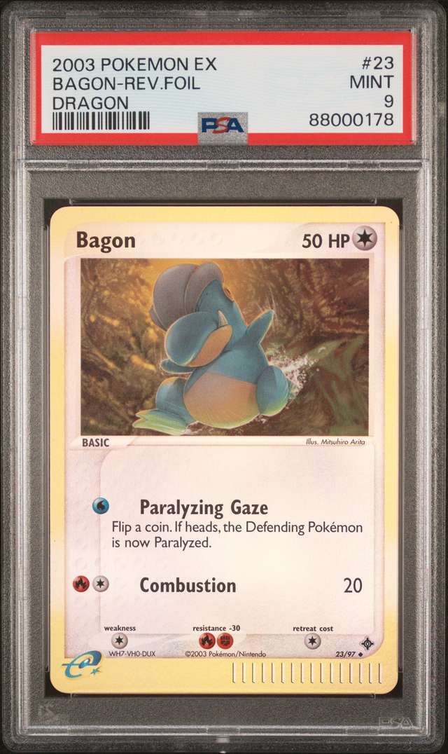 Bagon Dragon