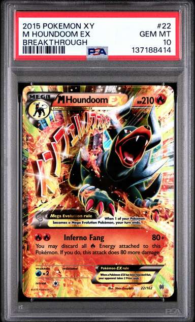 M Houndoom EX