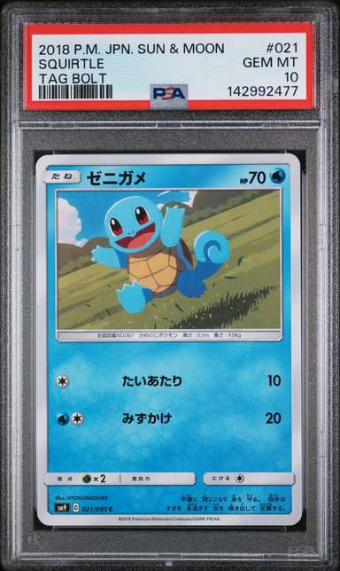 Squirtle