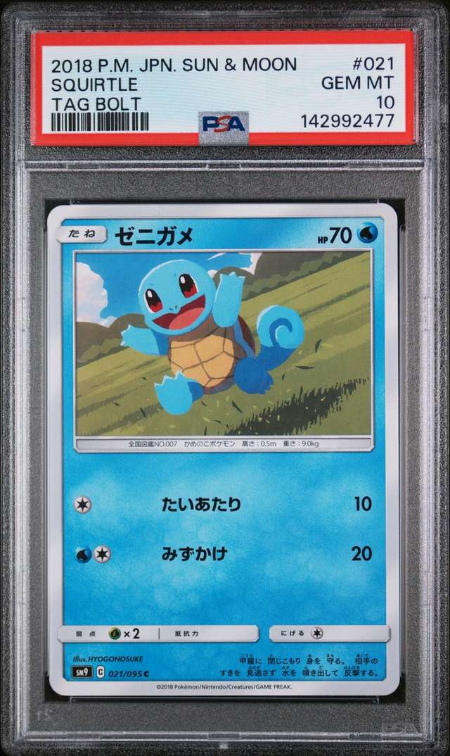 Squirtle