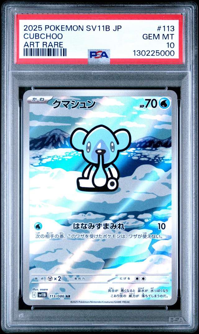 Cubchoo