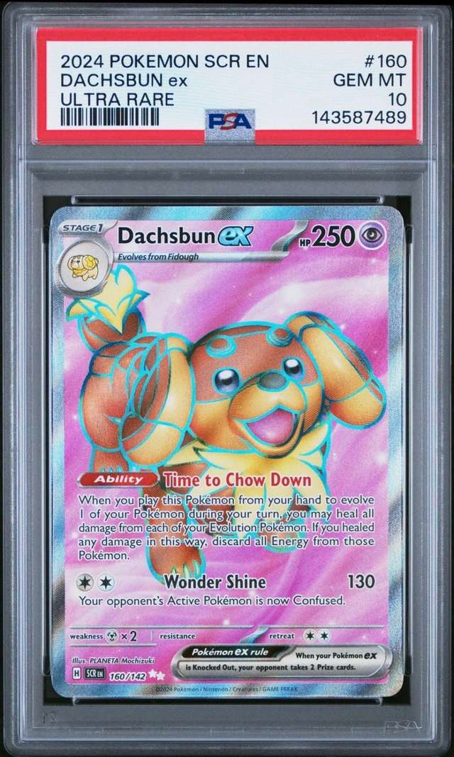 DACHSBUN ex