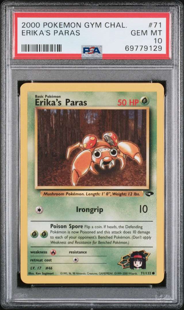 ERIKA'S PARAS