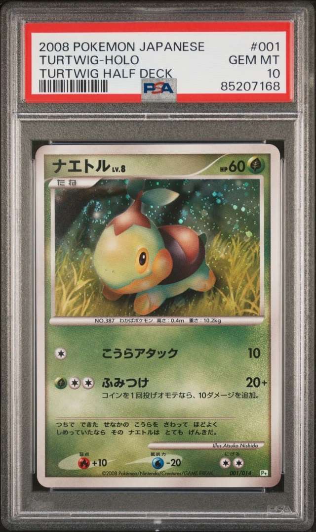 Turtwig