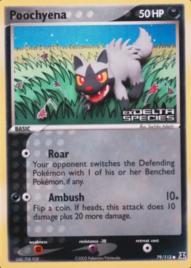 Reverse Holo