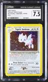 Light Togetic